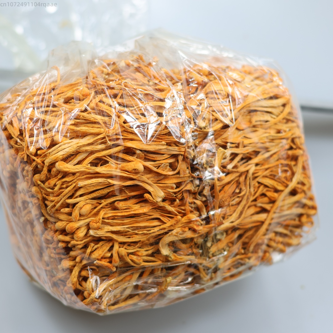 Soap Making Diy Kit - Flor de Cordyceps seca Natural Premium,